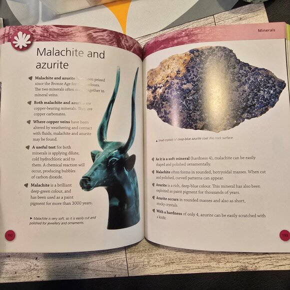 Rocks and Fossils Paperback book - Picture 6 of 6